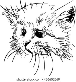 sketch kitten, cat drawing