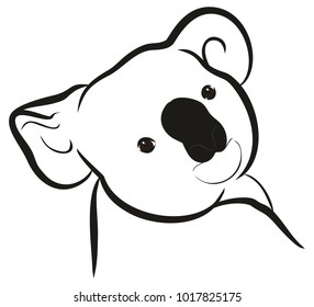 Sketch of koala