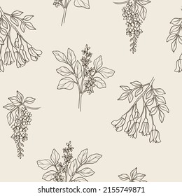 Sketch Kowhai, Cassia, Oleander Seamless Pattern