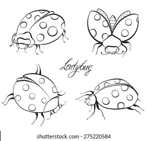 Sketch of Ladybugs. Hand drawn vector illustration.