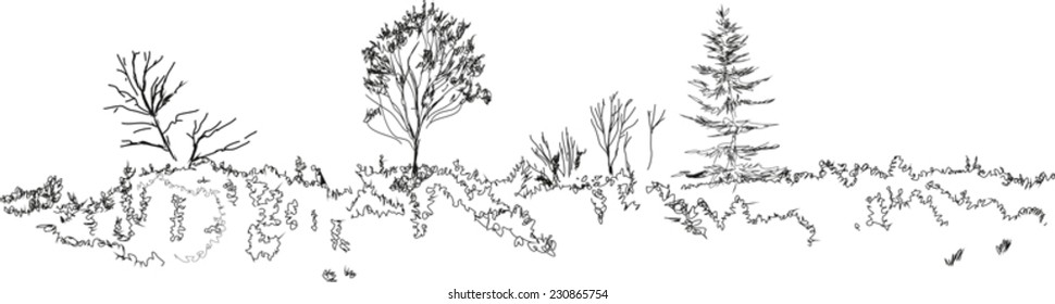 Sketch of landscape