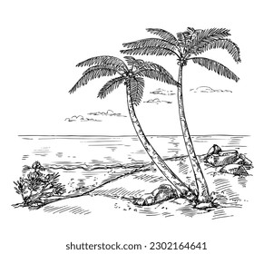 Sketch landscape with palm tree. Vacation on tropical beach, paradise by ocean hand drawn vector background illustration of landscape summer tropical palm