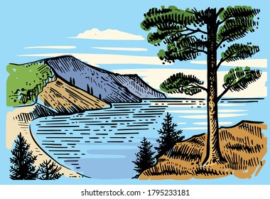sketch landscape a pine tree stands on ground 