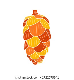 Sketch of a larch cone. Vector isolated element. Christmas illustration.