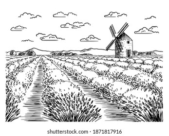 A sketch of lavender fields. French countryside landscape in Provence. Creates a summer mood.