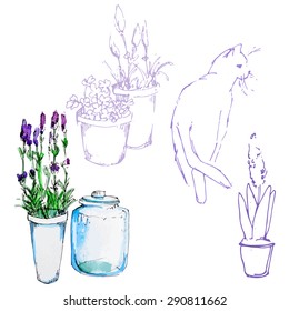 Sketch lavender set and cat, vector