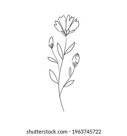 Sketch a leaf branch by hand on an isolated background. Vector, illustration