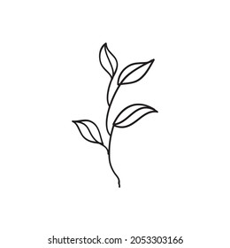 Sketch a leaf branch by hand on an isolated background. Vector, illustration