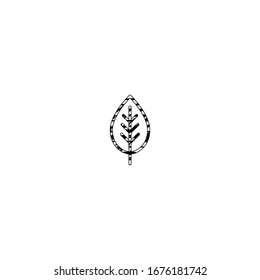 sketch of leaf cartoon design