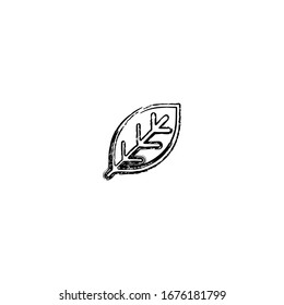sketch of leaf cartoon design