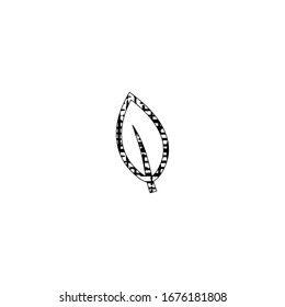 sketch of leaf cartoon design