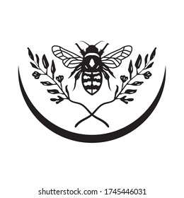 Sketch of leaf combination fly. Realistically isolated retro animals. Vintage style. Doodle line graphic design. Image of black and white insect. Vector illustration.