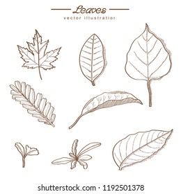 Sketch leaves hand drawn vector design elements. vector illustrations in sketch style.