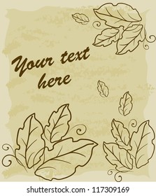 sketch of leaves on a piece of old paper with text