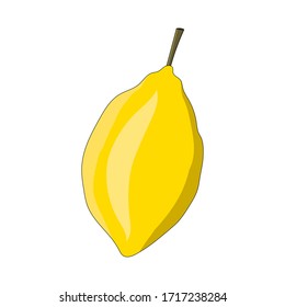 Sketch of a lemon. Doodle fruit. Vector isolated element for design. Healthy food.