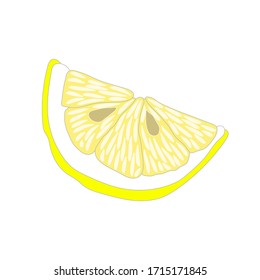 Sketch of a lemon. Doodle illustration. Vector isolated element for design. Healthy food.