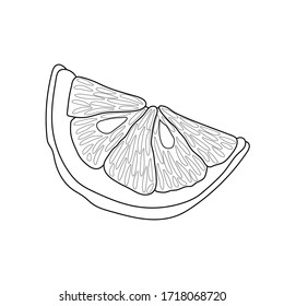 Sketch of a lemon slice. Doodle illustration. Vector isolated element for design. Healthy food.