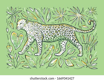 Sketch of a leopard with tropical plants. Wild animal isolated design element. Vector cartoon color illustration on green background. Design for print, poster, card, cover