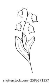Sketch of a lily wildflower. Vector illustration of a spring flower icon. Isolate on white.