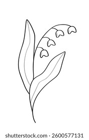 Sketch of a lily wildflower. Vector illustration of a spring flower icon. Isolate on white.