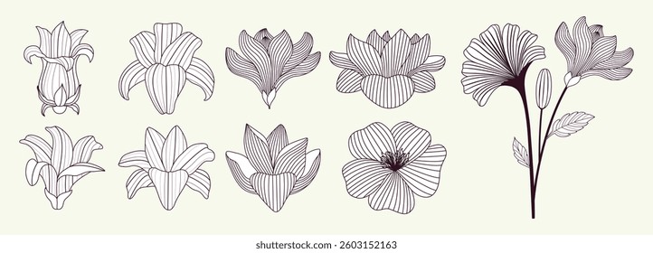 Sketch line art. Minimalistic herbal. Botanical set flower. Border and frames. Collection trendy hand drawn icons. Clip art. Silhouette.  Cut out. Boho. Floral doodle. Tattoo greenery branch. Freehand