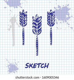 Sketch line Cereals set with rice, wheat, corn, oats, rye, barley icon isolated on white background. Ears of wheat bread symbols.  Vector Illustration