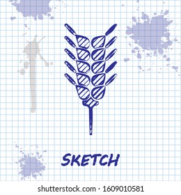 Sketch line Cereals set with rice, wheat, corn, oats, rye, barley icon isolated on white background. Ears of wheat bread symbols.  Vector Illustration