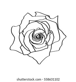 Similar Images, Stock Photos & Vectors of Sketch line drawing of rose