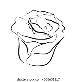 Similar Images, Stock Photos & Vectors of Sketch line drawing of rose
