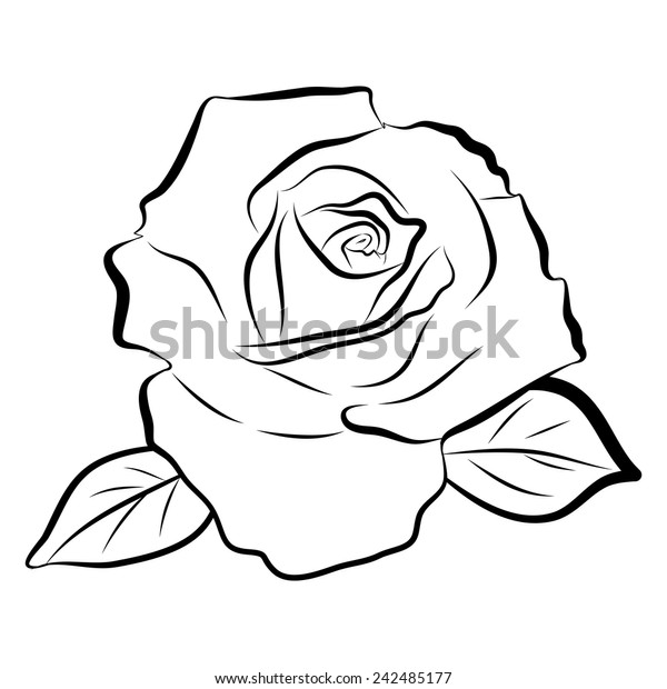 Sketch Line Drawing Rose Isolated Illustration Stock Vector (Royalty ...