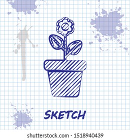 Sketch line Flower in pot icon isolated on white background. Plant growing in a pot. Potted plant sign.  Vector Illustration