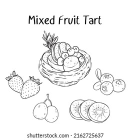 Sketch Line Mixed Fruit Tart Vector