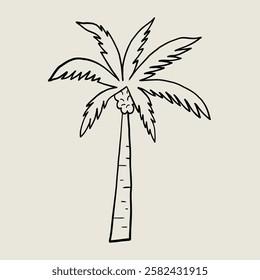 Sketch Line Palm Tree Single. Tropical Coconut Engraving Clip Art. Palmtree Vector Illustration