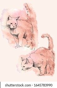 Sketch in sketch lines two figures of crouching wild cats, sad face, on the background of watercolor red spots doodle, cat hunter, vector