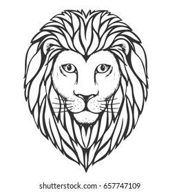 Sketch lion