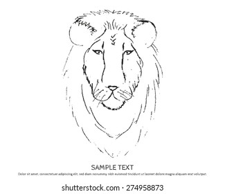 SKETCH Lion Head 