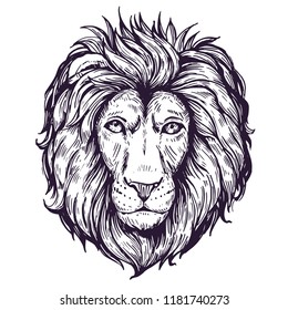 Sketch of lion head. Hand drawn illustration converted to vector
