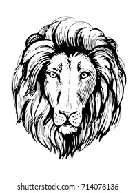 Sketch of lion head. Hand drawn illustration converted to vector