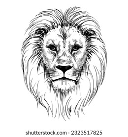 Sketch lion head vintage illustration.