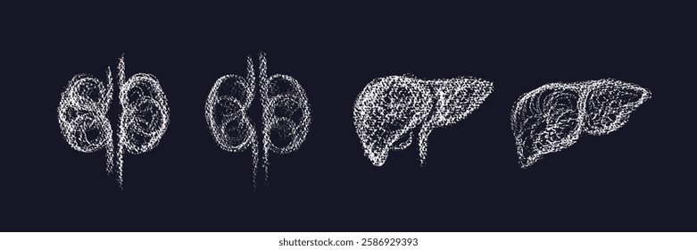 Sketch of liver, doodle of kidneys. Medical examination, disease prevention with x-ray and ultrasound. Vector grungy scribble set. Hand drawn abstract art sign of isolate from side view