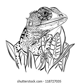 Sketch of a lizard sitting on a leafs on a white background