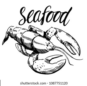 Sketch of lobster. Hand drawn illustration converted to vector