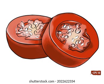 Esbozo de lobule con un chile picante chili jalapeno. Dibujo manual de la ilustración vectorial del chile sobre fondo blanco.