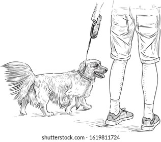 Sketch of longhair dachshund with her owner going on a stroll