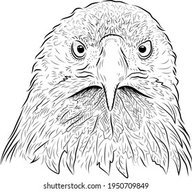 Sketch of looking eagle. Minimalistic style.