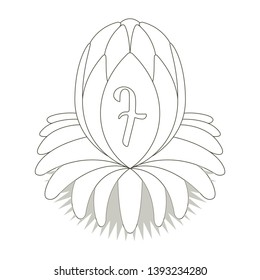 Sketch of a lotus flower with typography - Vector
