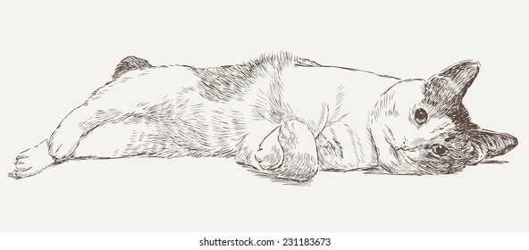 sketch of a lying cat