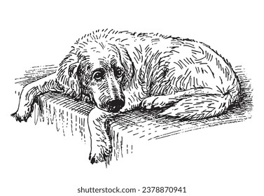 Sketch of lying old sad dog