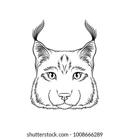Sketch of lynx head, portrait of wild serval cat animal black and white hand drawn vector Illustration