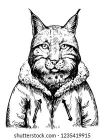 Sketch of lynx in winter jacket. Hand drawn vector illustration